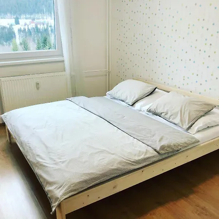 Apartment Bedrichov 101 *